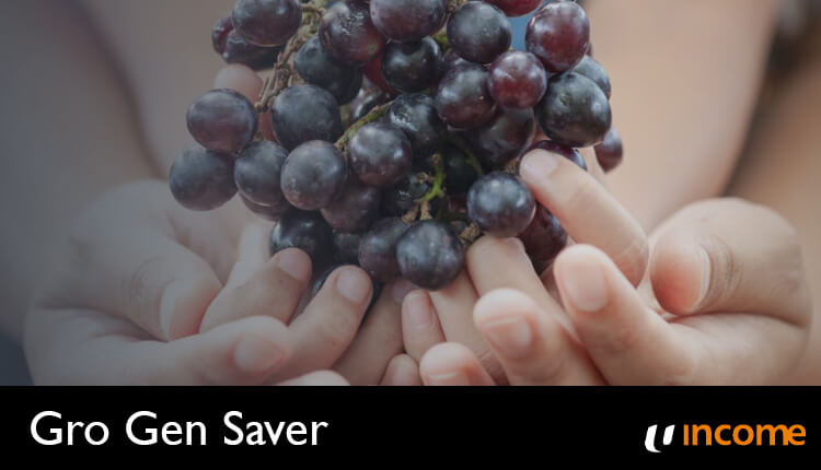 NTUC Income Gro Gen Saver